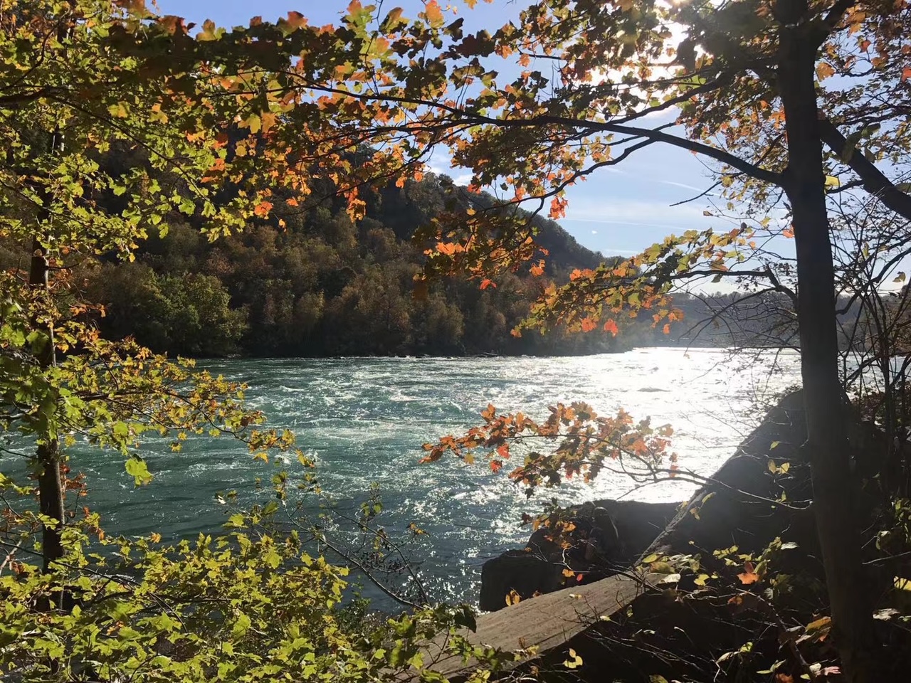 Niagara Whirlpool Loop