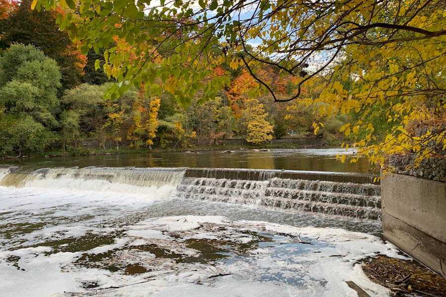Join Us for a Scenic Salmon Migration and Autumn Maple Hike!