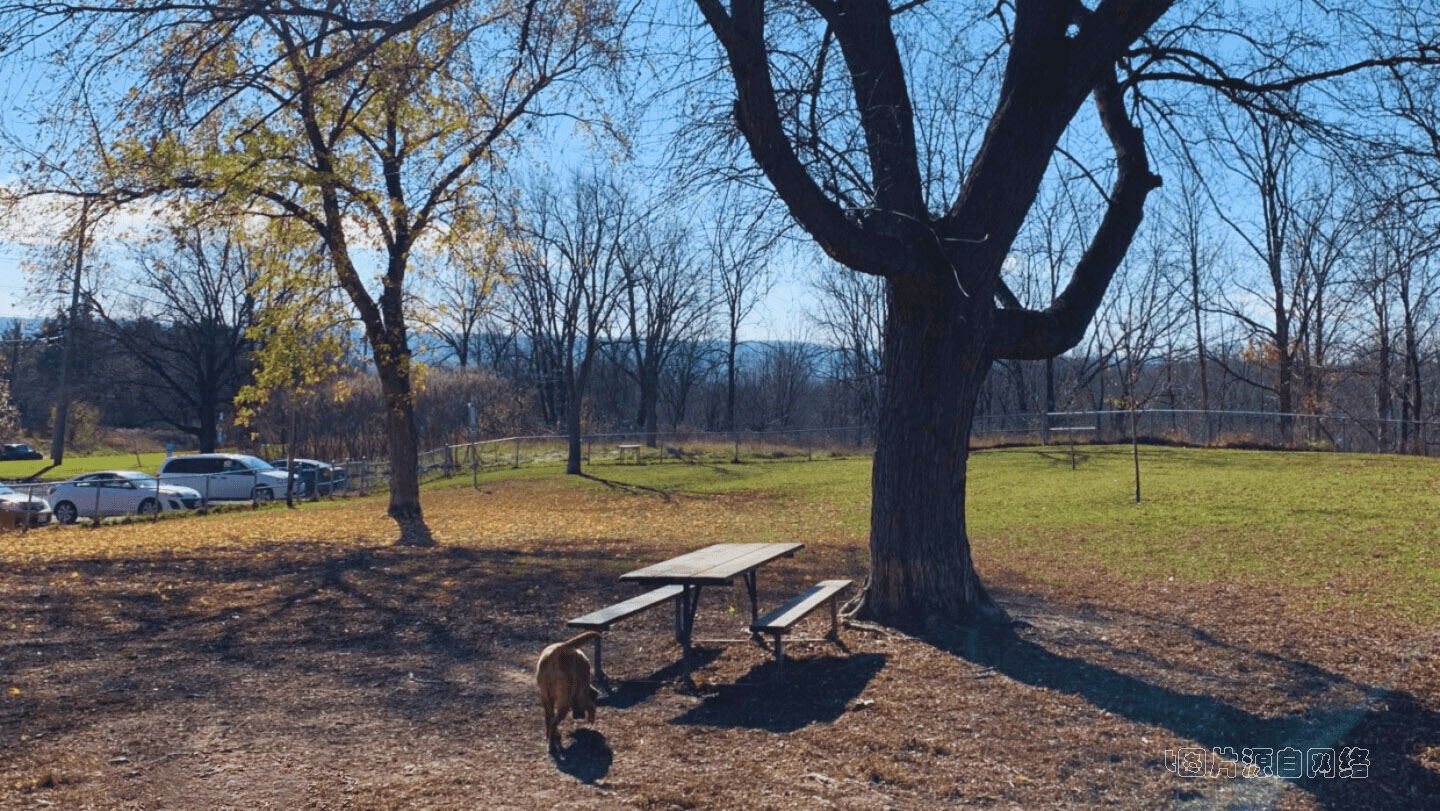 Borer’s Falls Dog Park to Kerncliff park
