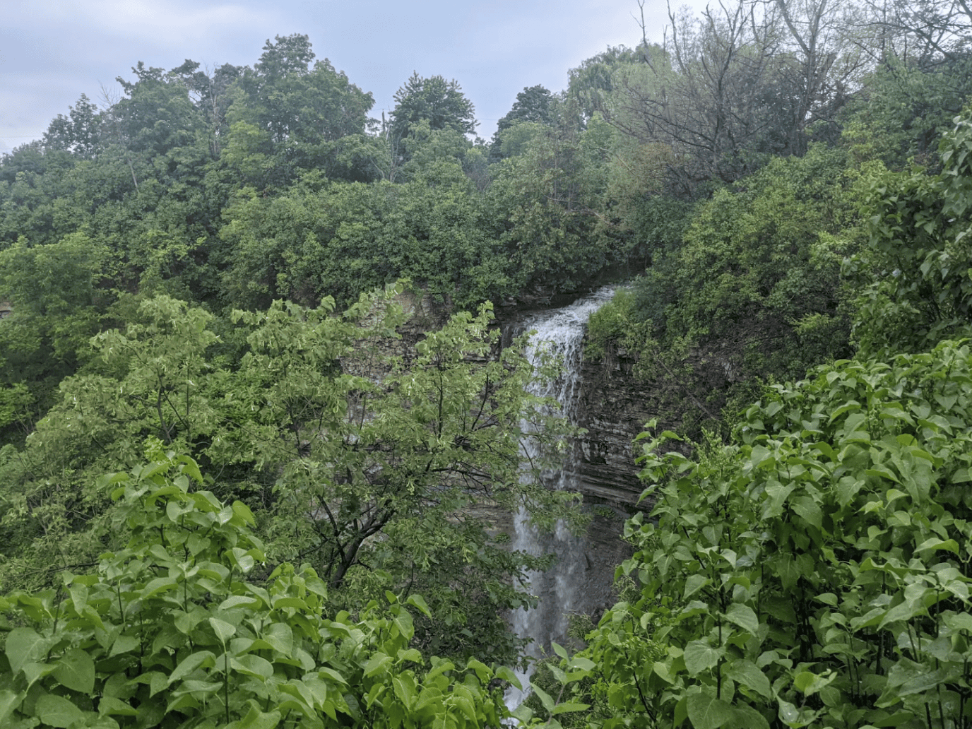 Hiking along the Bruce Trail