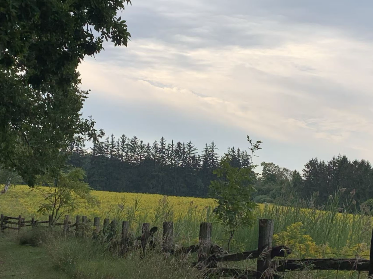 Hiking along Twelve Mile Trail and Bronte Creek Provincial Park